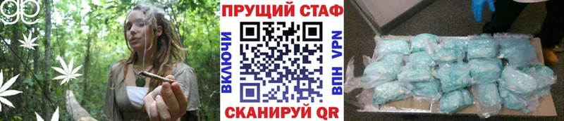 Купить закладку Вязники A-PVP  Cocaine  ГАШ  Псилоцибиновые грибы  MDMA  МЕФ  АМФ  Конопля 