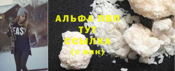 сатива Беломорск