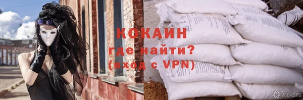 сатива Беломорск
