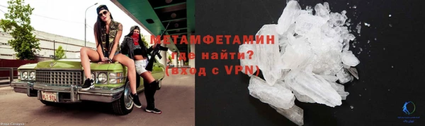 сатива Беломорск