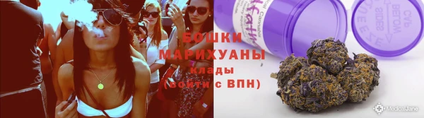 ГАЛЛЮЦИНОГЕННЫЕ ГРИБЫ Белоозёрский