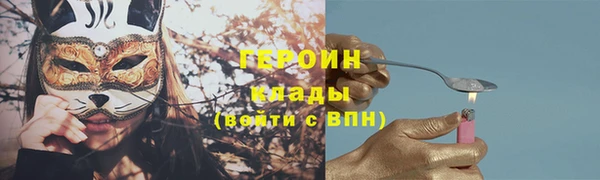 сатива Беломорск