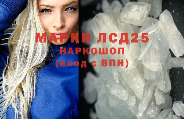 сатива Беломорск