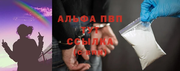сатива Беломорск