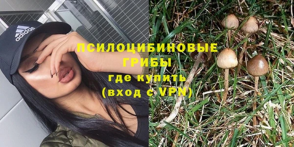 ГАЛЛЮЦИНОГЕННЫЕ ГРИБЫ Белоозёрский