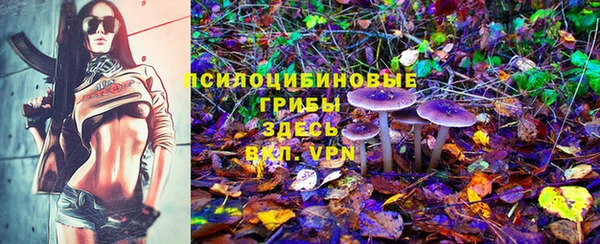 сатива Беломорск