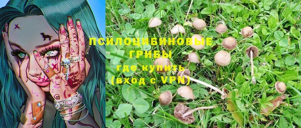 ГАЛЛЮЦИНОГЕННЫЕ ГРИБЫ Белоозёрский