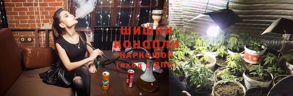 ГАЛЛЮЦИНОГЕННЫЕ ГРИБЫ Белоозёрский