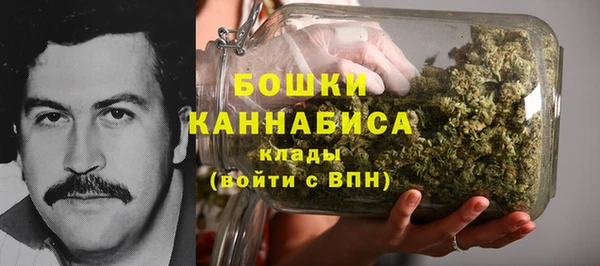ГАЛЛЮЦИНОГЕННЫЕ ГРИБЫ Белоозёрский