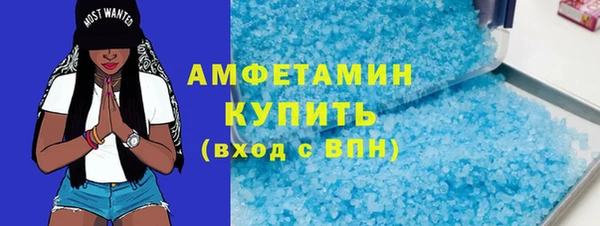 сатива Беломорск
