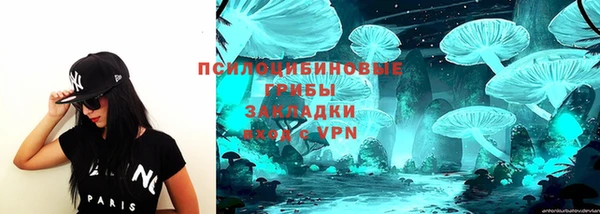 ГАЛЛЮЦИНОГЕННЫЕ ГРИБЫ Белоозёрский