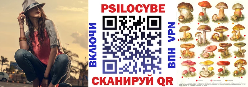 Псилоцибиновые грибы прущие грибы shop Telegram Вязники где купить наркоту